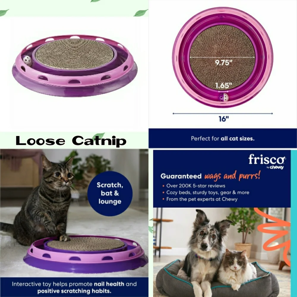 NEW 2-Cat Scratch, Bat, Play Toy Bundle